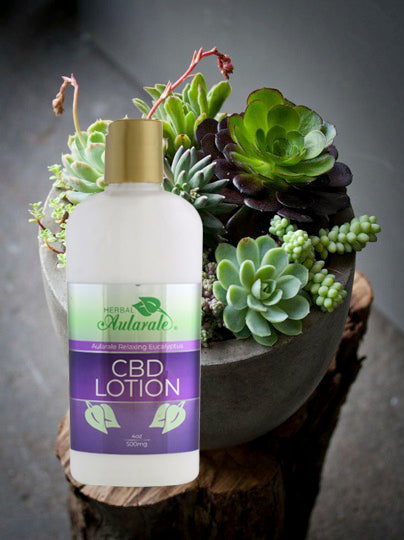 Eucalyptus CBD Lotion