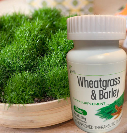 Wheatgrass & Barley